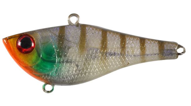 Pic: Mick Fletoridis